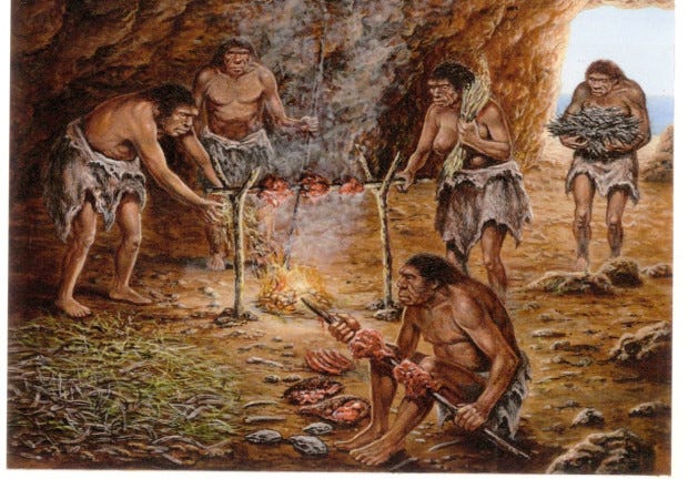 Homo sapiens News and latest stories | The Jerusalem Post